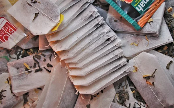 Bird of Paradise Leaf Spot: 3 Simple Steps to Fix It Fast